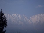 Dateiname=DSCI0688.jpg
Dateigröße=22KB
Abmessungen: 640x480
hinzugefügt am: 24. Februar 2013 DSCI0688.jpg