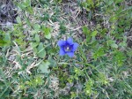 DSCN1795.jpg
