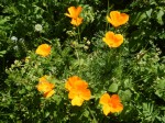 DSCN2059.jpg