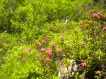 DSCN2611.jpg