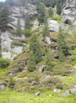 DSCN2619.jpg