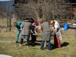 DSCN4220.jpg