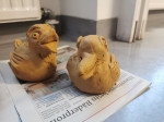 Enten.jpg