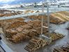 Holz Holz Holz.jpg