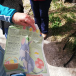 IMG-20240401-WA0022.jpg