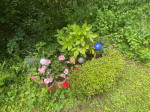 IMG_0119.jpg