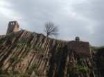 IMG_0559.jpg