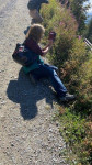 Dateiname=IMG_0696~0.jpg
Dateigröße=90KB
Abmessungen: 360x640
hinzugefügt am: 23. September 2021 IMG_0696~0.jpg