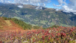 Dateiname=IMG_0736.jpg
Dateigröße=74KB
Abmessungen: 640x360
hinzugefügt am: 23. September 2021 IMG_0736.jpg