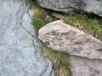Dateiname=IMG_1495.jpg
Dateigröße=160KB
Abmessungen: 800x600
hinzugefügt am: 11. August 2017 IMG_1495.jpg
