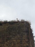IMG_1660.jpg