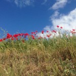 IMG_1824.jpg