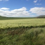 IMG_1831.jpg