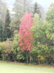 IMG_20220930_134945.JPG