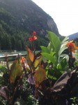 IMG_3094.jpg