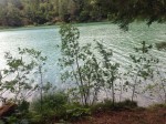 IMG_3108.jpg