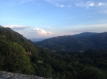 IMG_3978.jpg