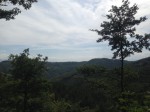 IMG_4014.jpg