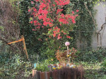 IMG_4300.jpg
