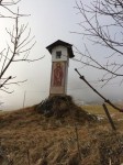IMG_5005_28229.jpg