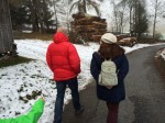 IMG_5008_28229.jpg