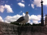 IMG_6474.jpg