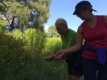 Dateiname=IMG_6682.jpg
Dateigröße=102KB
Abmessungen: 800x600
hinzugefügt am: 27. Juli 2016 IMG_6682.jpg