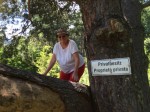 Dateiname=IMG_6684.jpg
Dateigröße=105KB
Abmessungen: 800x600
hinzugefügt am: 27. Juli 2016 IMG_6684.jpg