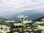 Dateiname=IMG_6801~0.jpg
Dateigröße=61KB
Abmessungen: 800x600
hinzugefügt am: 27. Juli 2016 IMG_6801~0.jpg