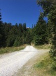 Dateiname=IMG_7373.jpg
Dateigröße=38KB
Abmessungen: 360x480
hinzugefügt am: 01. September 2016 IMG_7373.jpg