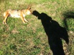 Dateiname=IMG_7995.jpg
Dateigröße=184KB
Abmessungen: 800x600
hinzugefügt am: 21. Oktober 2016 IMG_7995.jpg