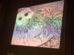 IMG_8068.JPG
