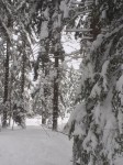 IMG_8099.JPG