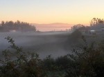 Dateiname=IMG_8325.jpg
Dateigröße=54KB
Abmessungen: 800x600
hinzugefügt am: 21. Oktober 2016 IMG_8325.jpg