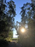 Dateiname=IMG_8348_28229.jpg
Dateigröße=69KB
Abmessungen: 450x600
hinzugefügt am: 21. Oktober 2016 IMG_8348_28229.jpg