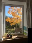 Dateiname=IMG_8705.jpg
Dateigröße=48KB
Abmessungen: 450x600
hinzugefügt am: 21. Oktober 2016 IMG_8705.jpg