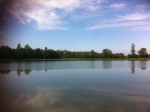 IMG_8730_28229.jpg