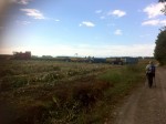 IMG_8809.jpg