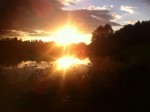 IMG_8826.jpg