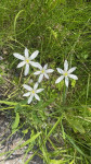 Dateiname=IMG_9287.jpg
Dateigröße=164KB
Abmessungen: 360x640
hinzugefügt am: 30. Mai 2023 IMG_9287.jpg