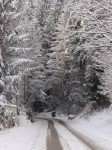 PC170126.jpg