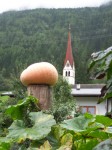 Pilger-Herbst.jpg