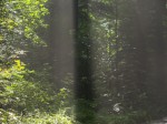 Unglaubliche_Lichtspiele.jpg